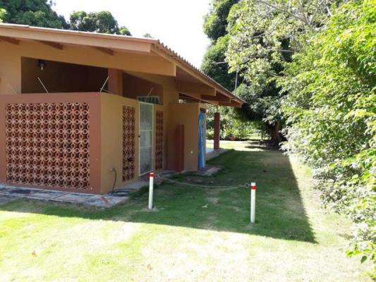 , Casa en alquiler en Nueva Gorgona | P3931991