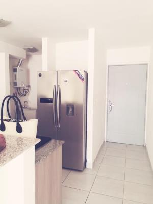 Metropolitan Park, Área Metropolitana