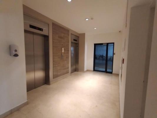 Coco mar, Coco del Mar