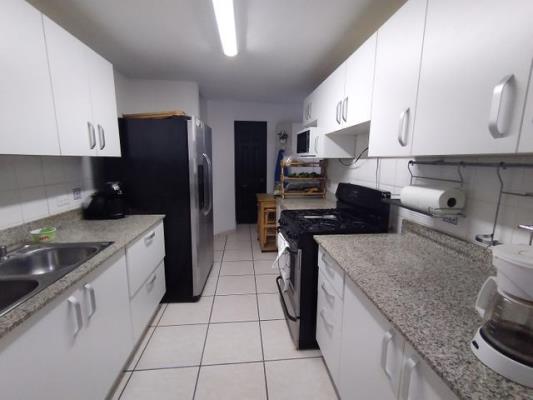 Coco mar, Área Metropolitana