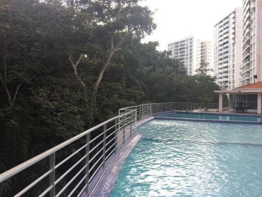 Clayton Park, Ancón