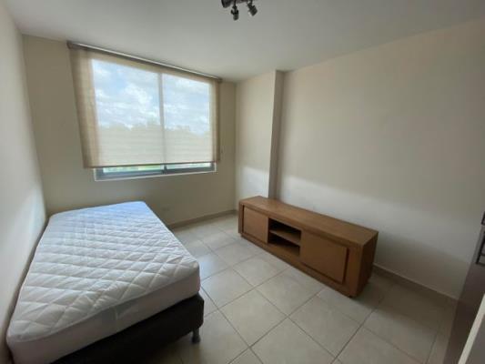 Clayton Park, Panamá