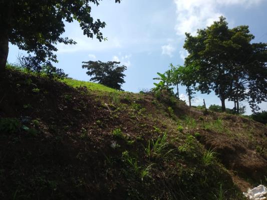 , terreno