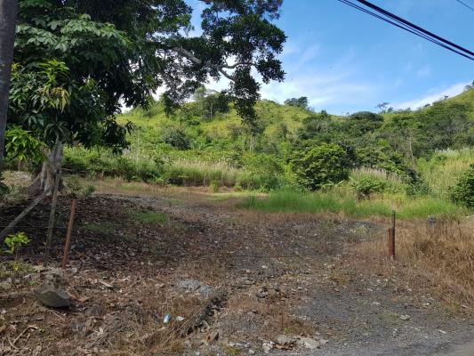 , Terreno en alquiler en Cerro Silvestre | P3961531