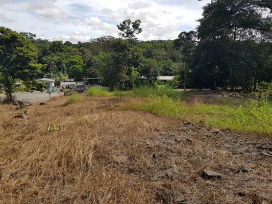 , Terreno en alquiler en Cerro Silvestre | P3961531