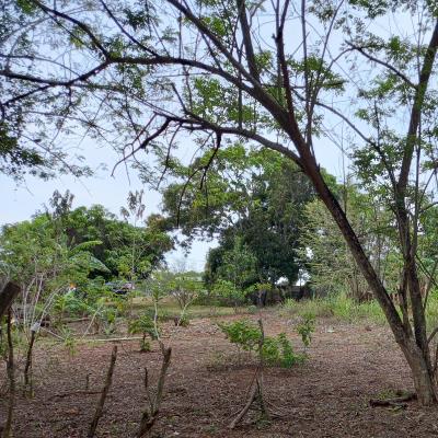 , terreno