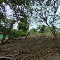 Guadalupe La Chorrera