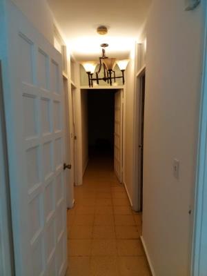 Plaza Paitilla, Área Metropolitana