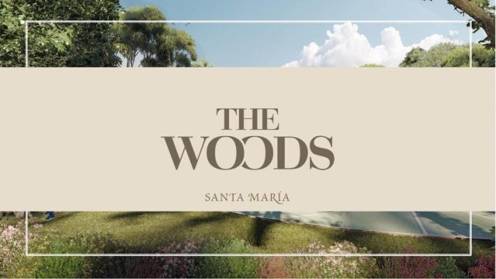 The Woods, Proyectos en Juan Diaz |  The Woods | P3969798