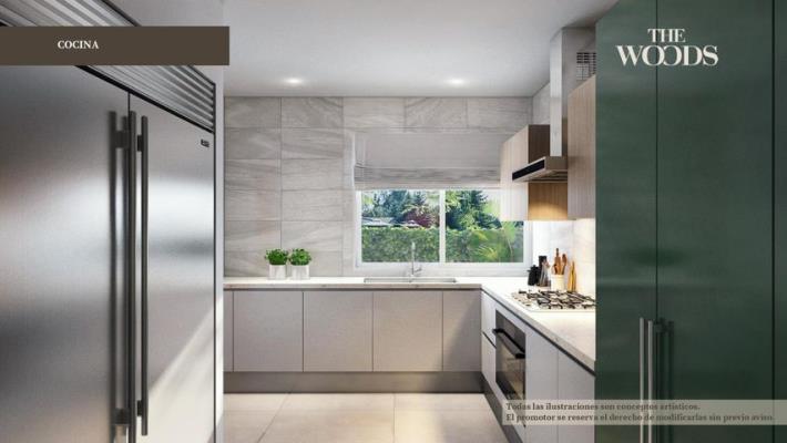 The Woods, Juan Diaz