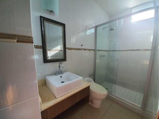 , Área Metropolitana