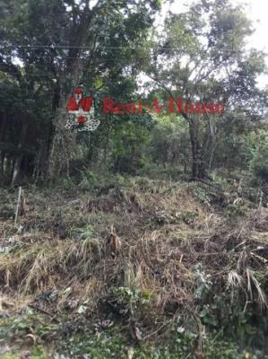 , Terreno en venta en Sorá | P3978128