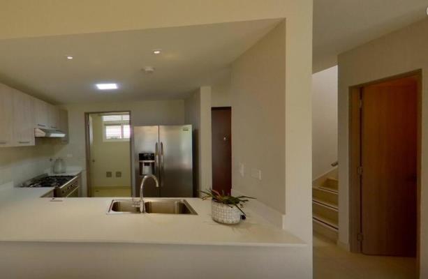 Bosques del Pacífico, Panamá Pacífico