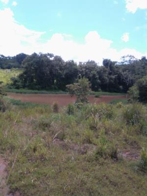 , Terreno en venta en Santa Rita | P3988299