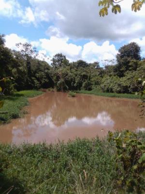 , Terreno en venta en Santa Rita | P3988299