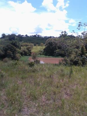 , Terreno en venta en Santa Rita | P3988299