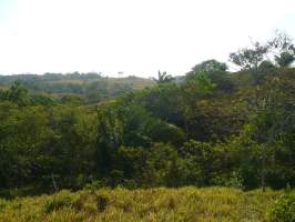 Santa Rita La Chorrera