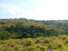 Santa Rita La Chorrera