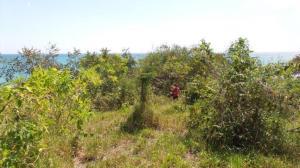 , Terreno en alquiler en San Carlos | P4011749