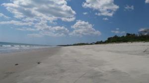 , San Carlos