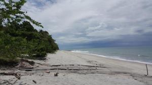 , Terreno en alquiler en San Carlos | P4011749