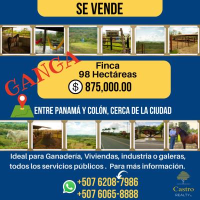 , Terreno en venta en Cristobal | P4016719