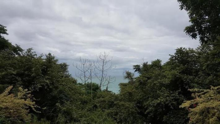 , Terreno en venta en San Carlos | P4017286