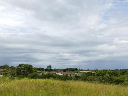 , Terreno en venta en San Carlos | P4017286