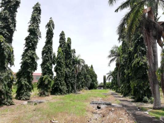 , Terreno en venta en Las Lajas | P4017328
