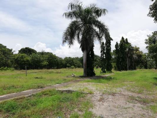 , Terreno en venta en Las Lajas | P4017328