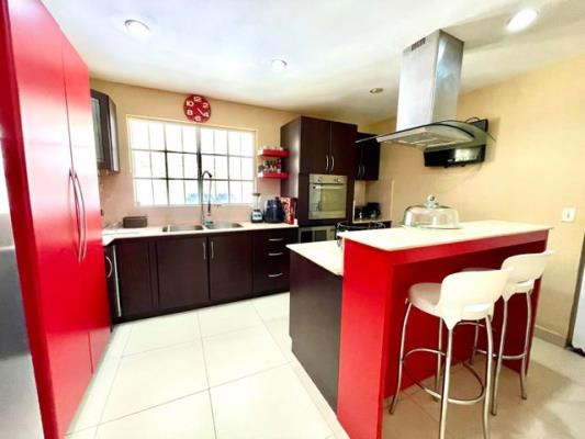 , Amelia Denis De Icaza