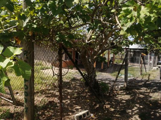 , Terreno en venta en Pacora | P4042948