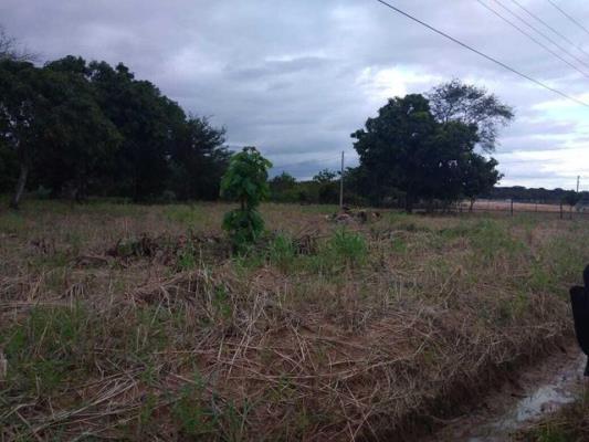 , Terreno en alquiler en El Coco | P4052545