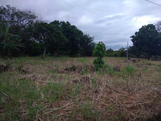 , Terreno en alquiler en El Coco | P4052545