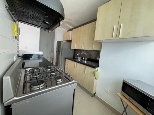 , Área Metropolitana