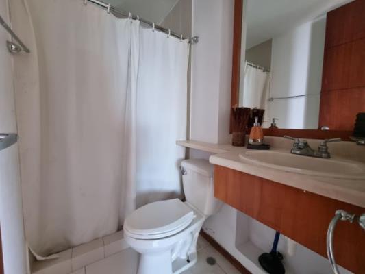 , Área Metropolitana