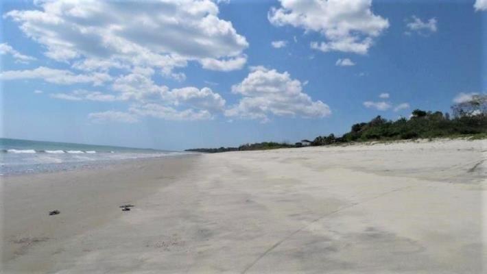 , Terreno en venta en San Carlos | P4060084