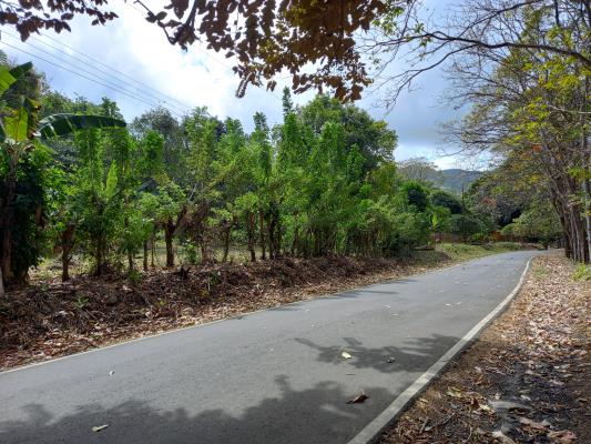 , Terreno en venta en Capira | P4061267