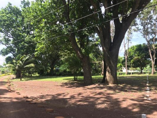 , Terreno en venta en Sajalices | P4061519