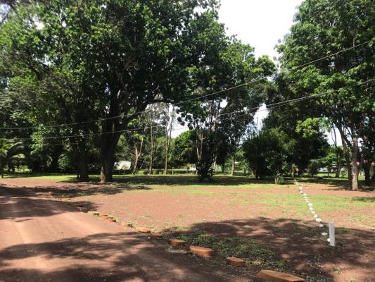 , Terreno en venta en Sajalices | P4061519