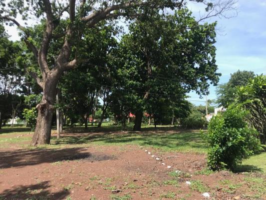 , Terreno en venta en Sajalices | P4061519