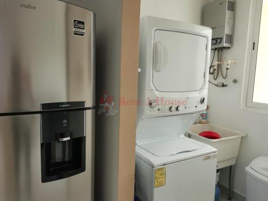 Metropolitan Park, Parque Lefevre