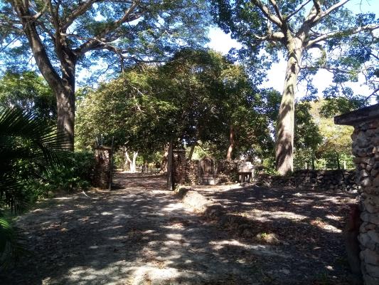 , Terreno en alquiler en Cabuya | P4078795