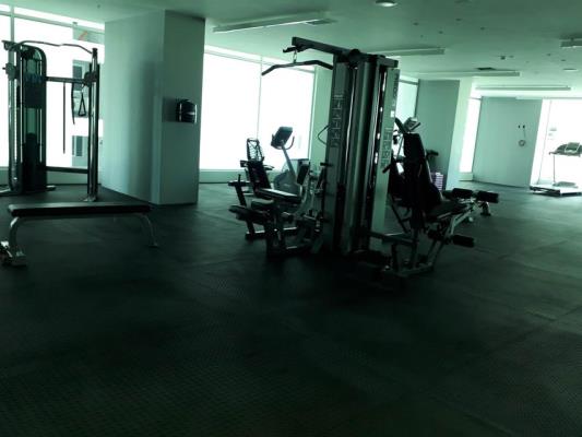 The Palace, Área Metropolitana