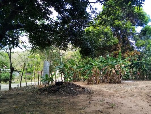 , Casa en venta en Chepo | P4104527