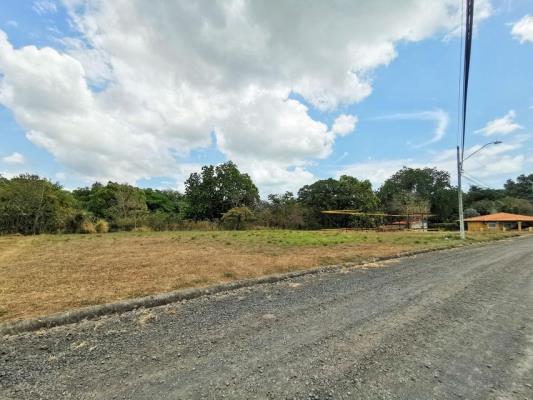 , Terreno en venta en Nueva Gorgona | P4104618