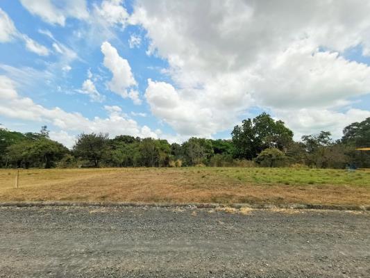 , Terreno en venta en Nueva Gorgona | P4104618