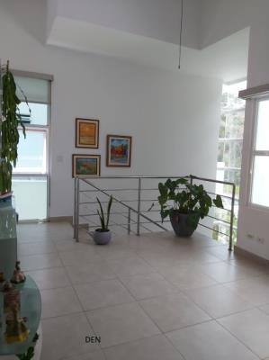 Altos de Panama , Amelia Denis De Icaza