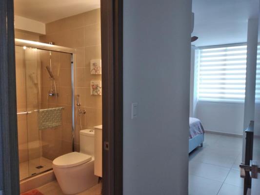 Lumiere, Área Metropolitana