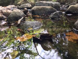 , Terreno en venta en San Carlos | P4125870